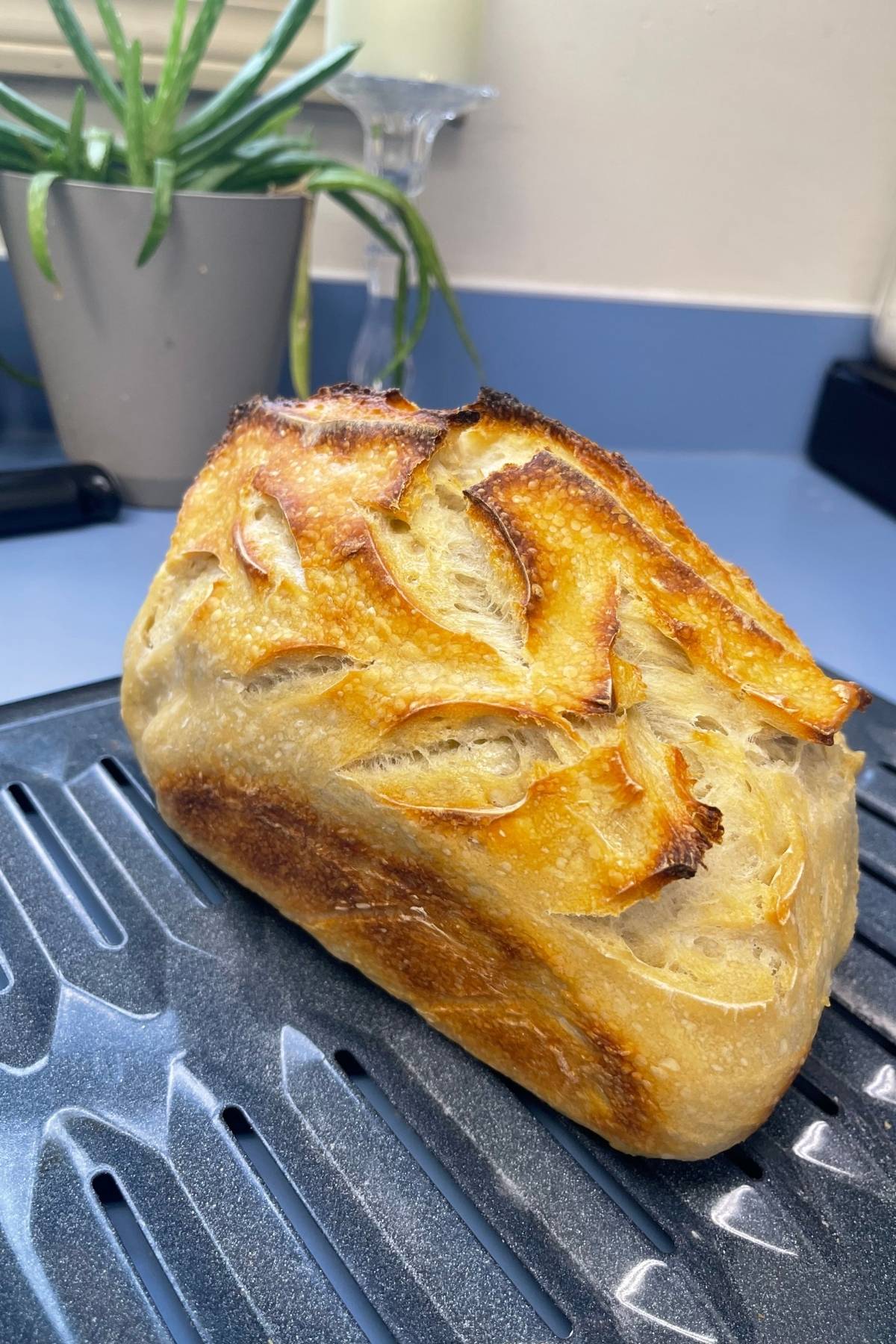 Loaf made by Brittany